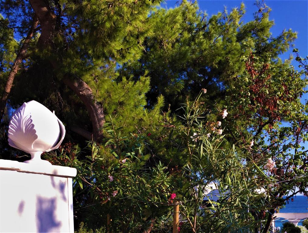 Le Due Pigne (Adults Only) Villa Таранто Екстериор снимка