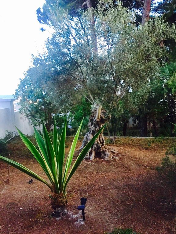 Le Due Pigne (Adults Only) Villa Таранто Екстериор снимка