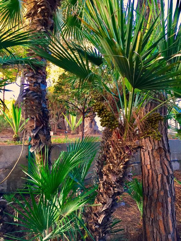Le Due Pigne (Adults Only) Villa Таранто Екстериор снимка