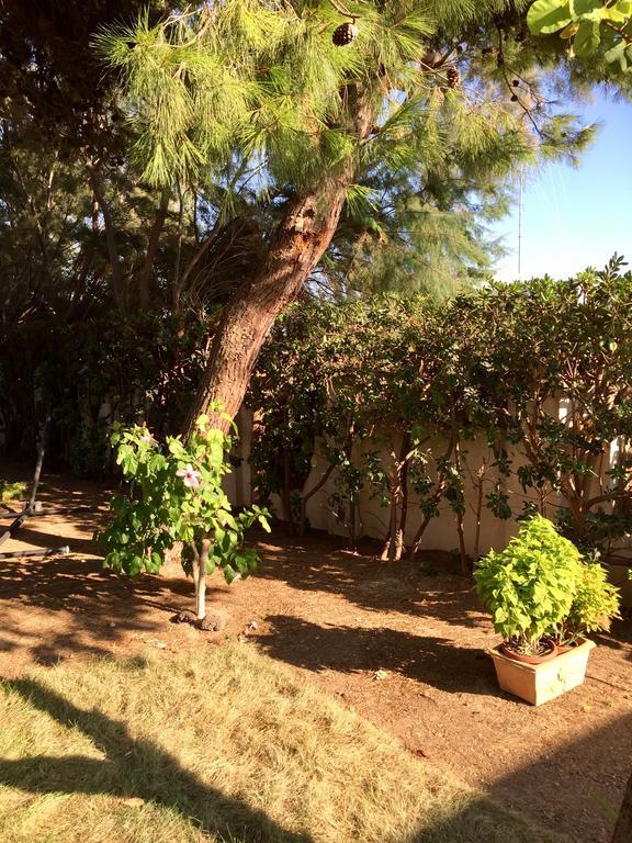 Le Due Pigne (Adults Only) Villa Таранто Екстериор снимка